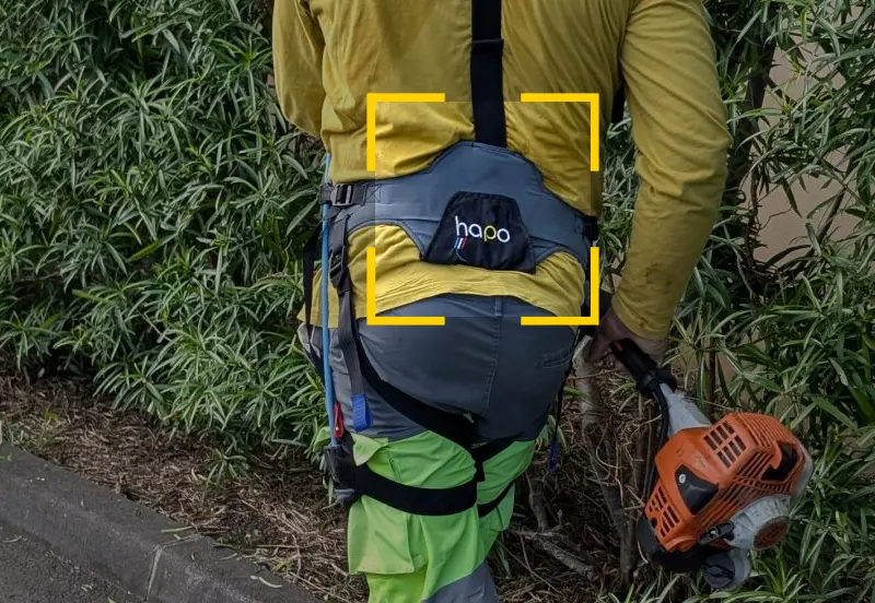 שלדים חיצוניים המותאמים לגננֵי נוף